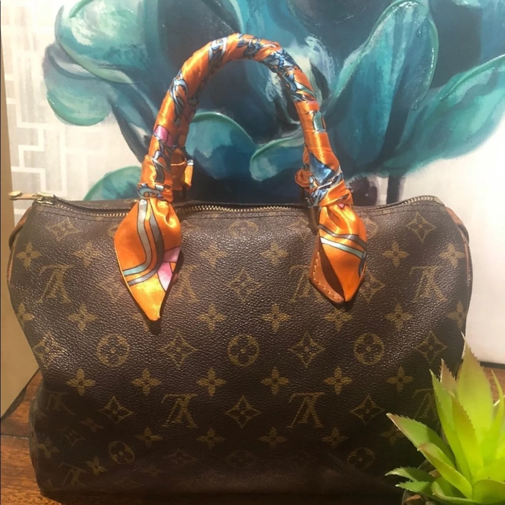 Louis Vuitton speedy 30